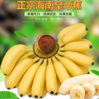 海南皇帝蕉新鮮香蕉5斤代發(fā)包郵當季孕婦水果帝王蕉皮薄小米蕉