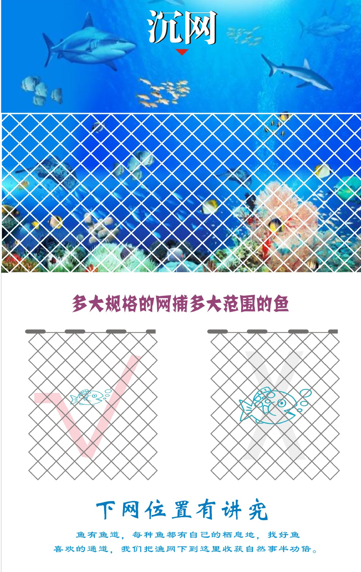 沉網(wǎng)