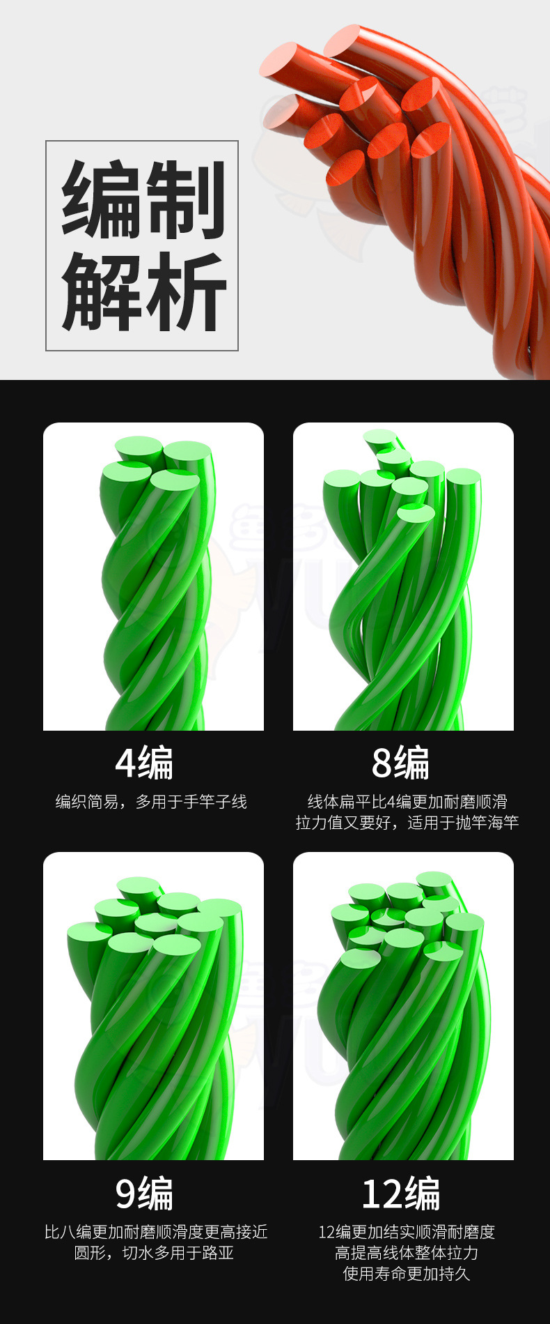 編數(shù)解析_02