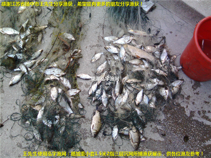 感謝江蘇省揚中市王先生分享漁獲！