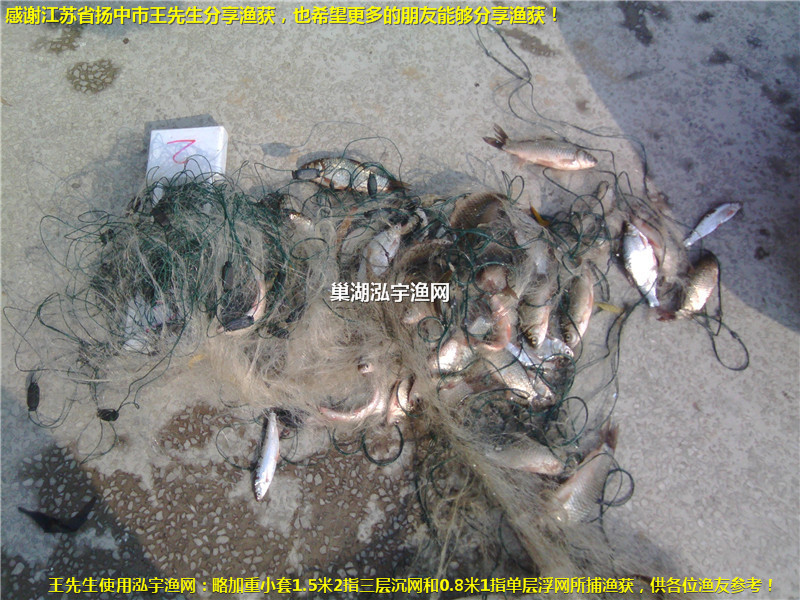 800<i></i>X600揚中市王先生漁獲2