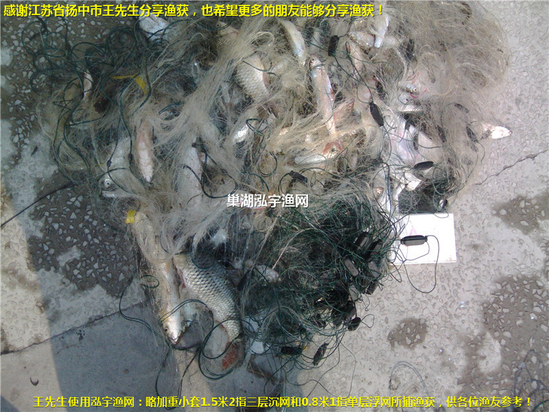 感謝江蘇省揚中市王先生分享漁獲！