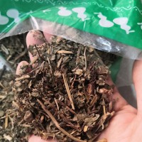 中藥材莽草 春草 菵草 石桂 紅桂 鼠莽 實物拍攝