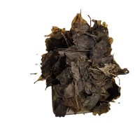 散裝批發(fā)中藥苦丁茶 苦丁果大葉苦丁茶源頭廠家量大從優(yōu)