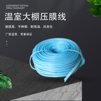 溫室大棚配件壓膜線 大棚壓膜線 壓膜帶 壓膜帶 型號(hào)齊全