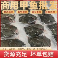 鮮活現(xiàn)殺麻辣小甲魚(yú)鹵甲魚(yú)半成品商用去皮老鱉冷凍一整箱新鮮真空