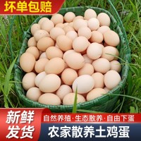 農(nóng)村散養(yǎng)土雞蛋五谷喂養(yǎng)走地雞蛋月子蛋現(xiàn)撿新鮮母雞初生蛋批發(fā)