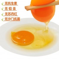 可生食無(wú)抗富硒紅心無(wú)菌土雞蛋新鮮高品質(zhì) 10枚春節(jié)禮盒裝
