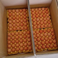 谷物蛋整箱農(nóng)家散養(yǎng)土雞蛋鮮雞蛋草雞蛋批發(fā)農(nóng)產(chǎn)品雞場(chǎng)直發(fā)