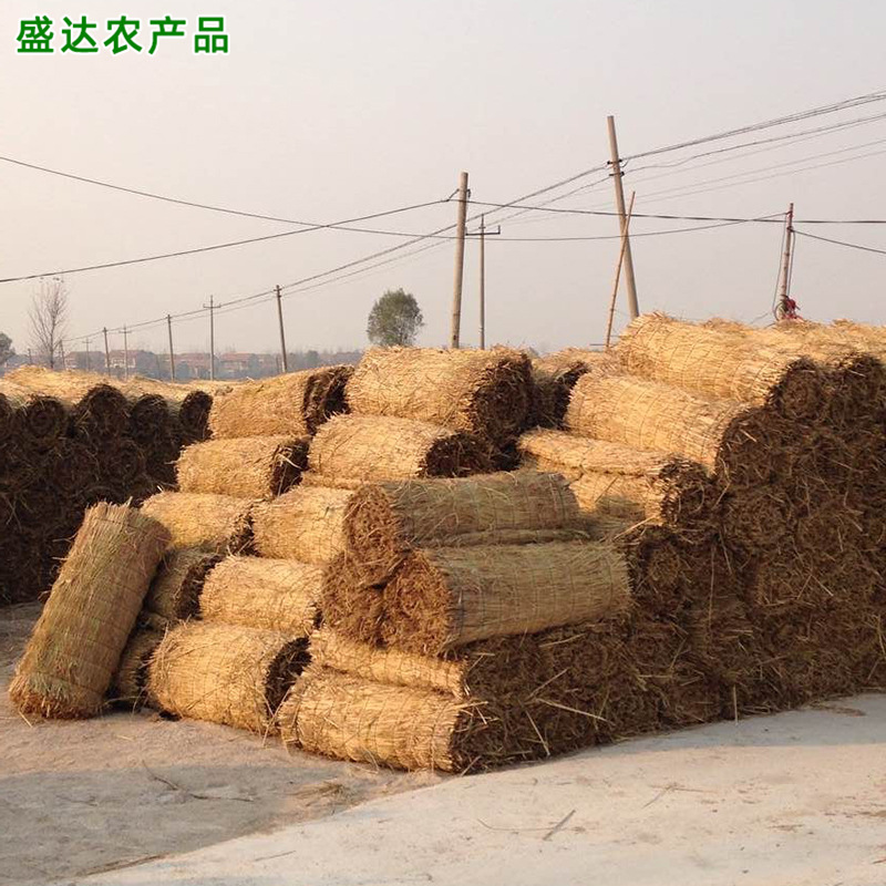 QQ圖片20141226122650.jpg