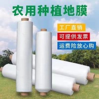 白地膜保溫保濕大棚塑料薄膜白色地膜蔬菜種子過(guò)冬黑色農(nóng)用工程膜