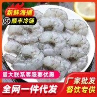 新鮮蝦仁冷凍真空包裝現(xiàn)剝蝦仁無冰青蝦仁去蝦線鮮凍去腸蝦仁批發(fā)