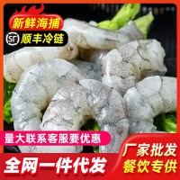新鮮蝦仁鮮活現(xiàn)剝蝦仁去蝦線冷凍青蝦仁去腸蝦仁鮮凍無(wú)冰蝦仁批發(fā)