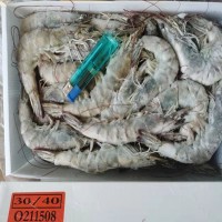 現(xiàn)貨批發(fā)桑塔厄瓜多爾白蝦鹽凍海捕蝦3040大蝦2030 燒烤自助婚宴