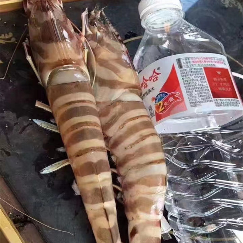 微信圖片_202208221515002_副本