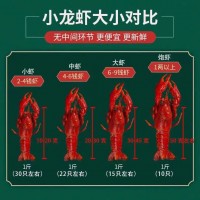 湖北洪湖清水鮮活小龍蝦789錢(qián)五斤蝦超大冷鏈包郵產(chǎn)地批發(fā)小龍蝦