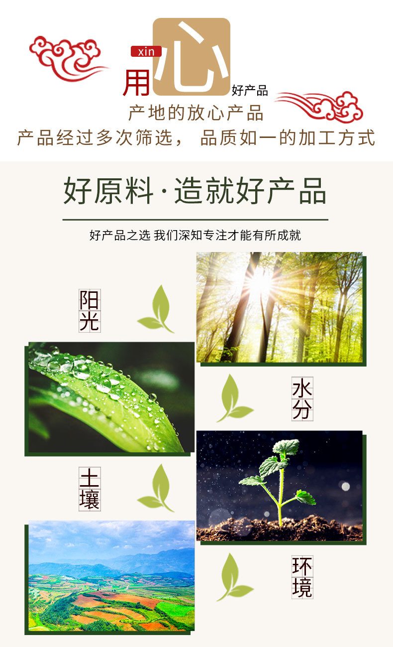 黃芪片詳情_04