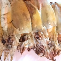 魚民自曬東海膽淡干墨魚500g干貨小魚烏賊海鮮海產(chǎn)品淡水煲湯