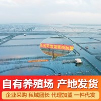 陽澄湖鎮(zhèn)大閘蟹加盟鮮活螃蟹批發(fā)團(tuán)購大閘蟹禮盒中秋禮品工 廠直