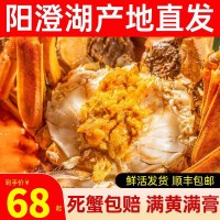 精挑螃蟹大閘蟹禮盒10只裝螃蟹鮮活大閘蟹陽澄湖鎮(zhèn)產(chǎn)地發(fā)包郵