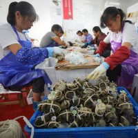 陽澄湖大閘蟹現(xiàn)貨中秋禮盒2.5兩母蟹 34.75元/只, 8只裝一箱