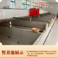 批發(fā)現(xiàn)貨陽(yáng)澄湖鎮(zhèn)活體螃蟹精品禮盒六月黃公母鮮活大閘蟹中秋送禮