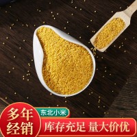 批發(fā)黃金苗小米 袋裝25kg小米五谷雜糧農(nóng)家新米米油濃稠小米