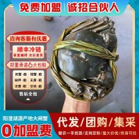 大閘蟹鮮活水產招代理河蟹陽澄湖新鮮養(yǎng)殖批發(fā)公司團購活蟹批發(fā)