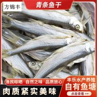 壽縣方錦豐青條魚(yú)干豐樂(lè)水產(chǎn)瓦埠湖淡曬魚(yú)干草魚(yú)小魚(yú)干