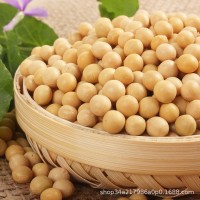 50斤黃豆批發(fā)粒粒精選黑龍江東北正宗非轉基因大豆打豆?jié){專用