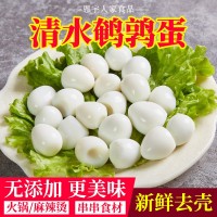 湖北洪湖恩宇去殼清水鵪鶉蛋200g*30袋火鍋麻辣燙食材批發(fā)