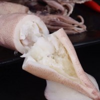 順豐包郵滿籽海兔子 滿籽籽烏全籽帶籽新鮮筆管魚小墨魚魷魚海鮮