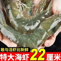 順豐包郵大蝦鮮活超大基圍蝦青島海蝦特大蝦速凍海鮮水產(chǎn)生鮮蝦類(lèi)