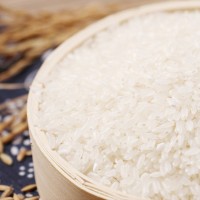 十乧香五常大米10斤廠家批發(fā)香甜可口粒粒飽滿入口細(xì)糯產(chǎn)地直發(fā)