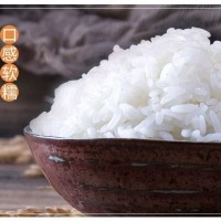 廣西特產(chǎn)南寧鵬穗象牙香米5kg可批發(fā)可零售