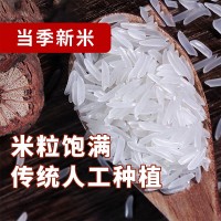 美運(yùn)大米廠家批發(fā)代發(fā)5kg美運(yùn)越南大米原糧進(jìn)口當(dāng)季新米長粒香米