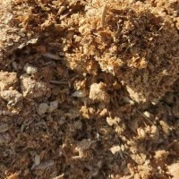 有機肥原料廠供應(yīng)金針菇下腳料蘑菇渣 可改良土壤原力生物