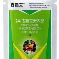 24表蕓苔素內(nèi)脂大量供應(yīng)廠家直發(fā)各種規(guī)格都有歡迎咨詢