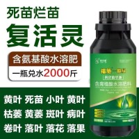 一噴綠葉面肥 含腐植酸功能型水溶肥|增加耐儲(chǔ)存耐運(yùn)輸能力 綠爾康