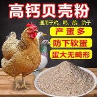 高鈣貝殼粉雞鴨鵝 等禽畜飼料添加貝殼粉 原貝殼粉