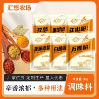 組合調(diào)味料家用炸貨撒料餐飲烤肉蘸料調(diào)味椒鹽五香粉胡椒粉花椒粉