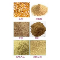 湖南益陽市小雞飼料廠家直供批發(fā)價40公斤一件（破碎型）