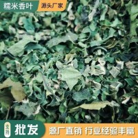 供應糯香草茶現(xiàn)貨散裝干品糯米香葉批發(fā)帶梗香包原料云南糯米香葉