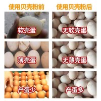 貝殼粉雞用蘆丁雞鴨鵝鴿子信鴿鵪鶉獸用牡蠣粉鈣粉飼料貝殼粉