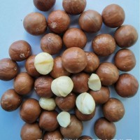 云南恒楚夏威夷果,堅果,原料未開口,未入味,通貨22-28