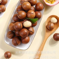 云南恒楚烤夏威夷果25MM以上,特大果,堅果,各種風味出口,各種尺寸