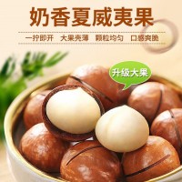 新貨夏威夷果奶油味堅(jiān)果干果孕婦休閑零食500g代發(fā)大果薄皮