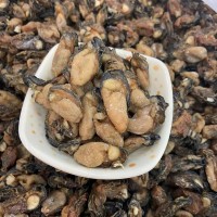 不抽油生蠔干牡蠣干 海蠣干生曬蠔肉 海蠔干淡曬生蠔干煲粥批發(fā)一