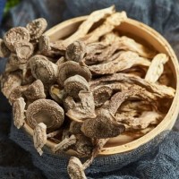 云南特產(chǎn)鹿茸菇干貨 廠家批發(fā)食用菌鹿茸菌干貨批發(fā) 產(chǎn)地貨源
