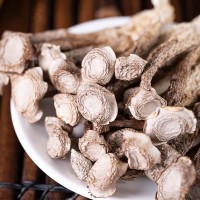 云南特產(chǎn)鹿茸菇干貨菌湯包廠家直銷食用菌脆嫩鹿茸菇干貨大量批發(fā)